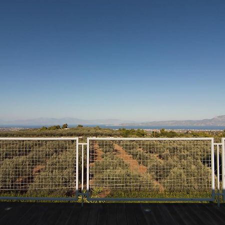 Country Villa Peloponnese With Tennis Court And Pool Zevgolateíon Zewnętrze zdjęcie